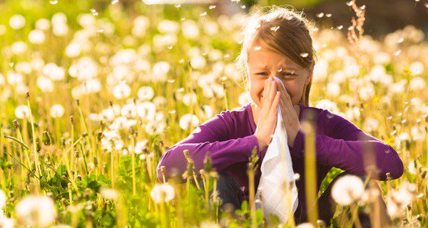 como-combatir-alergia-al-polen